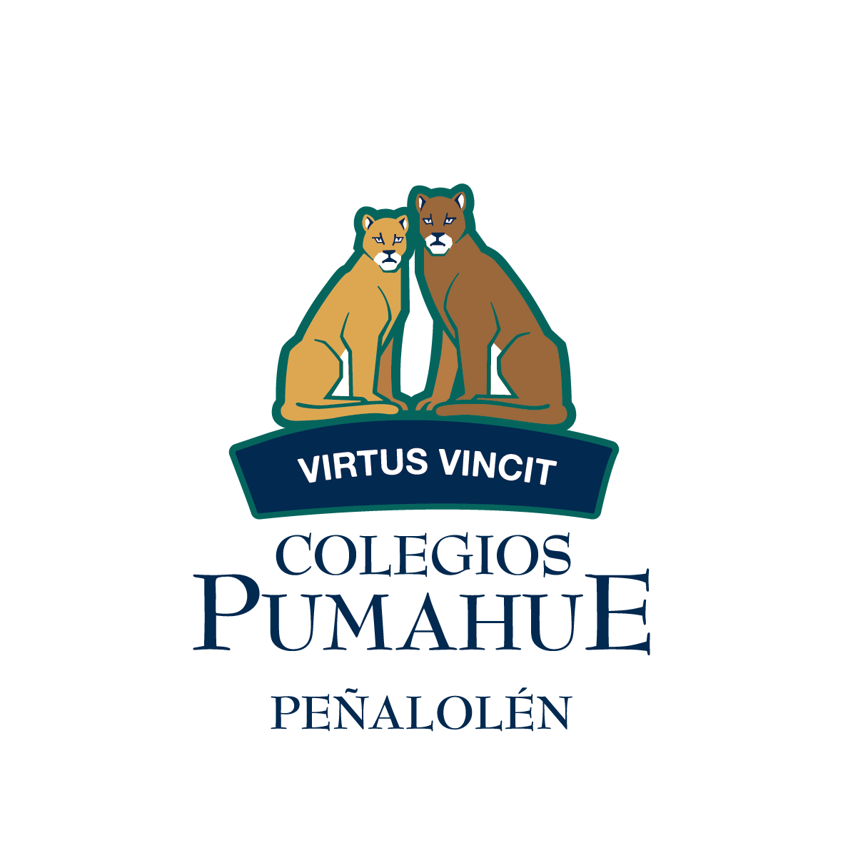colegios Pumahue