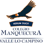 colegio manquecura